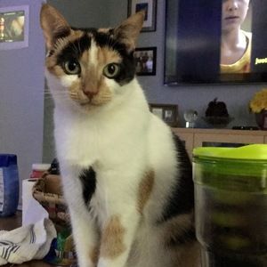 Meet your Posher, Jeffrey